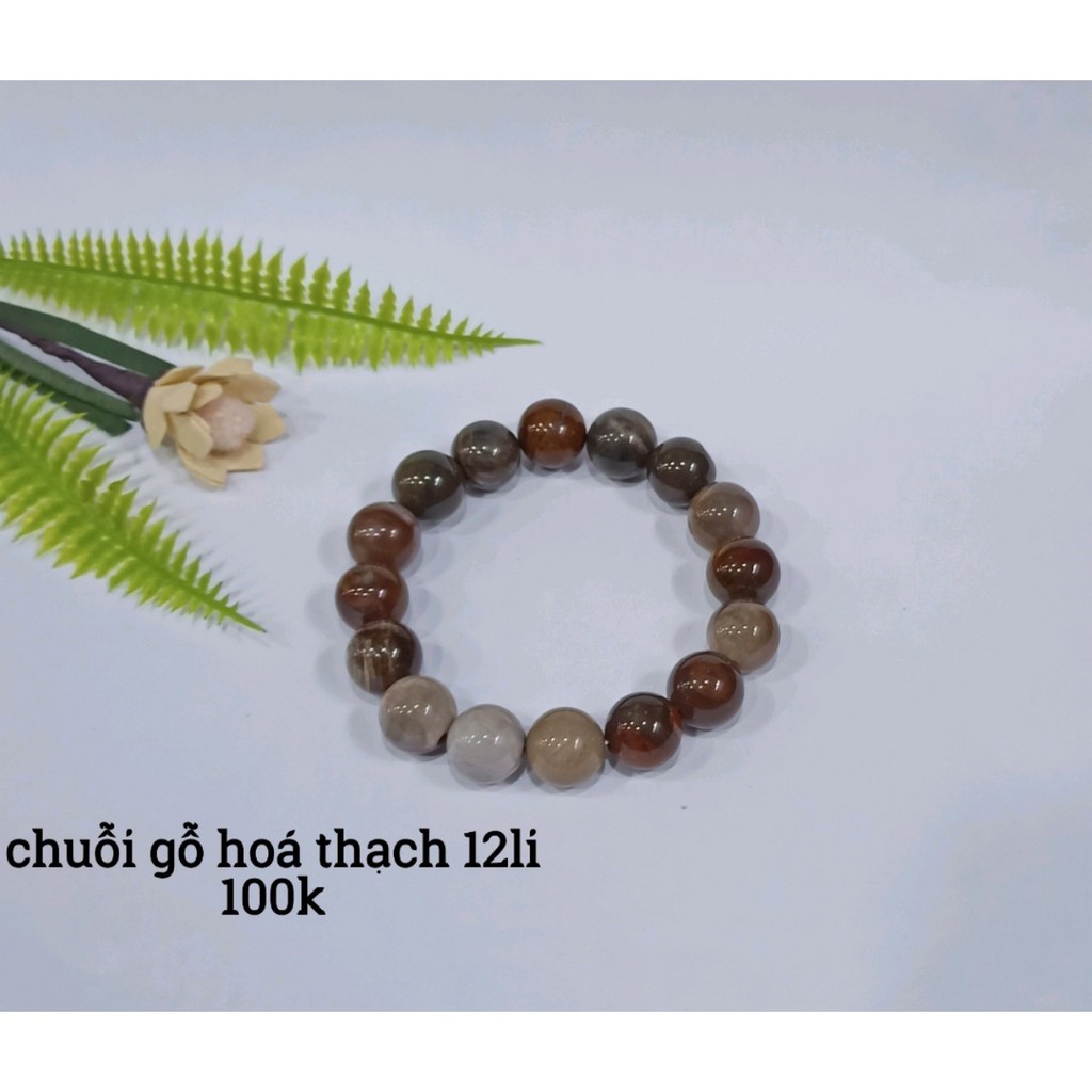 Chuỗi Gỗ Hoá Thạch