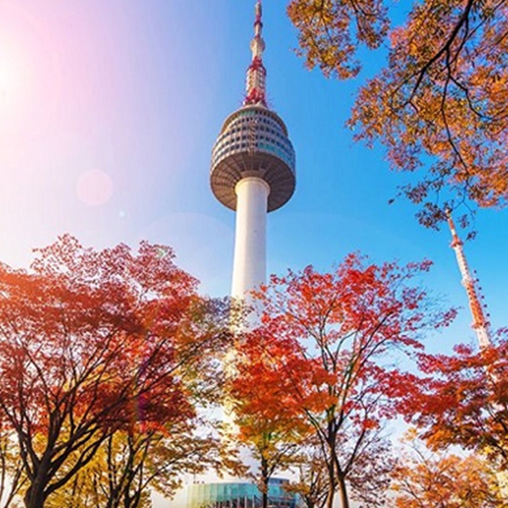 Hàn Quốc -  Tour Hà Nội - Seoul - Lotte World - Nhà xanh - Phủ Tổng thống 5N4Đ