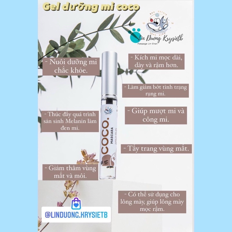 GELMICOCO - Dầu Dừa x Nha Đam dưỡng mi & chân mày BauKrysie🎁card + thiệp | BigBuy360 - bigbuy360.vn