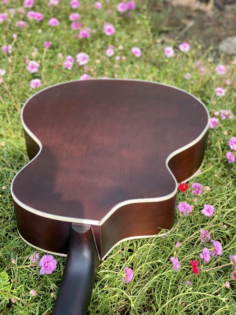 [HÀNG MỚI VỀ] Đàn guitar acoustic có ty chỉnh cần STreal-A1