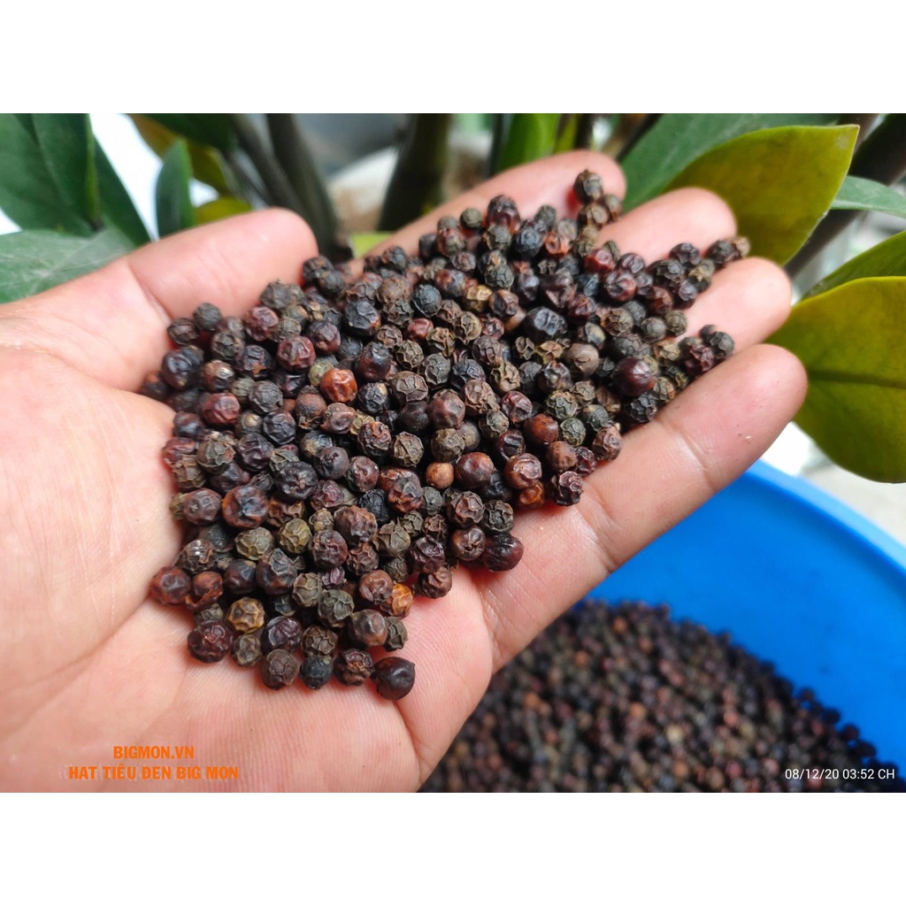 Hạt tiêu đen xay sẵn nguyên chất Đăklăk giá sỹ - 500gr- vị cay nồng thơm - Bigmon