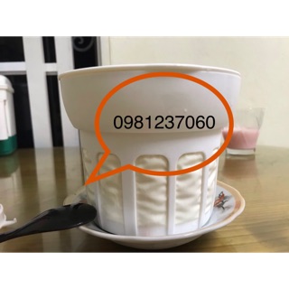 Nấm kefir cho khách sỉ