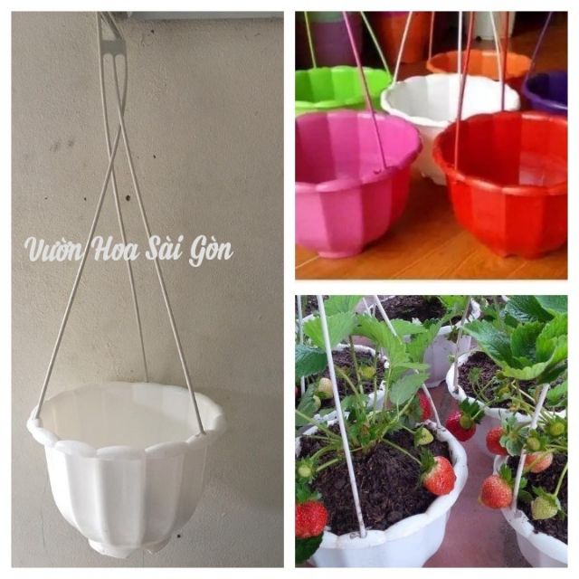 Chậu bí treo đủ màu - nhựa