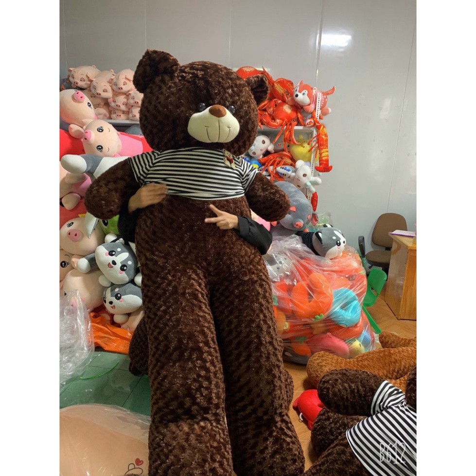 (CÓ ẢNH THẬT)Gấu Bông Teddy ngồi đủ size 90cm, 100cm, 1m2, 1m6, 1m8 siêu to khổng lồ cực mịn hàng nhập khẩu - GẤU TEDDY