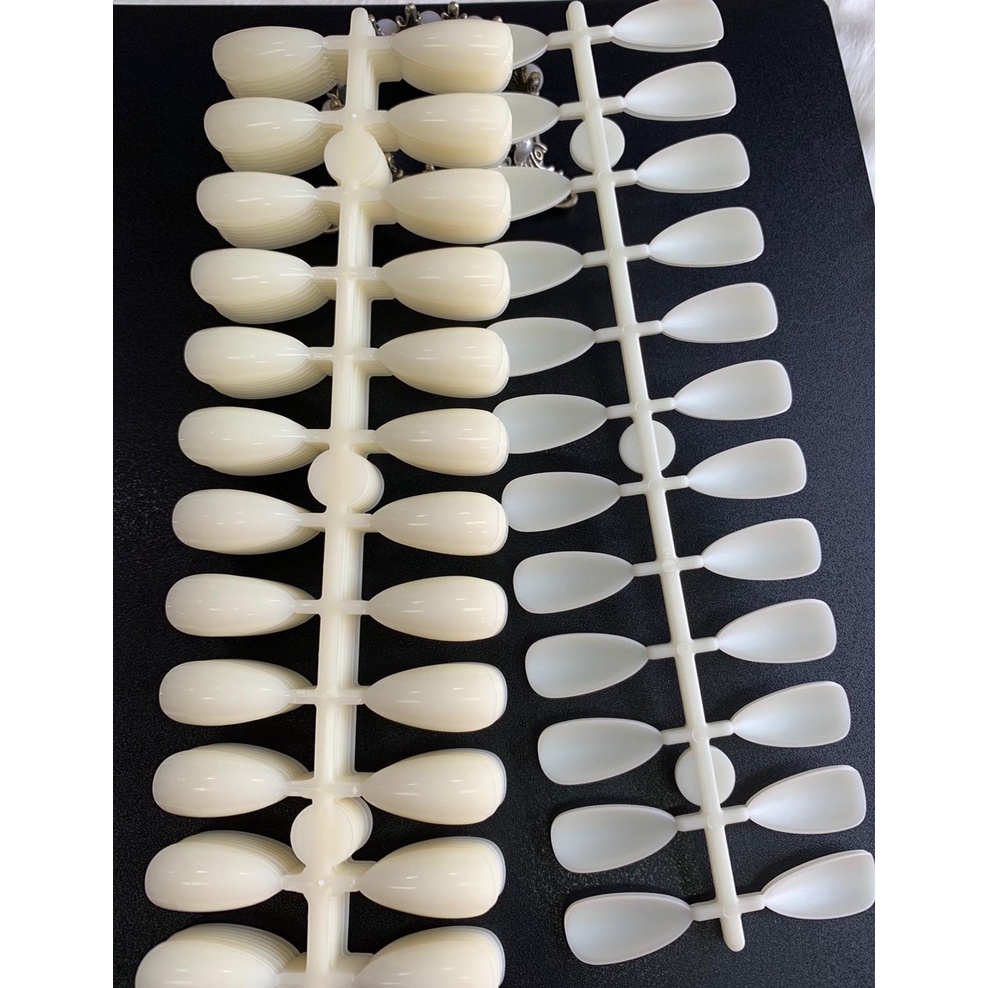 Móng Mẫu Cài Sổ Móng Rất Đẹp Tiện Cho Tiệm Nail, Spa, Salon - 1 Túi 240 móng