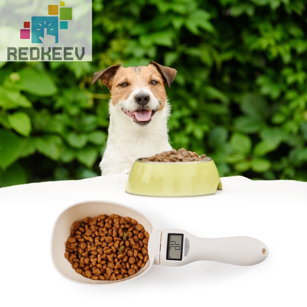 Muỗng đo lường thức ăn cho thú cưng