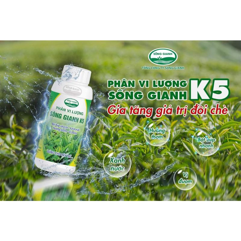 Phân bón cho cây chè - phát triển nhanh, bật búp mạnh, xanh nước đượm hương chai 500ml