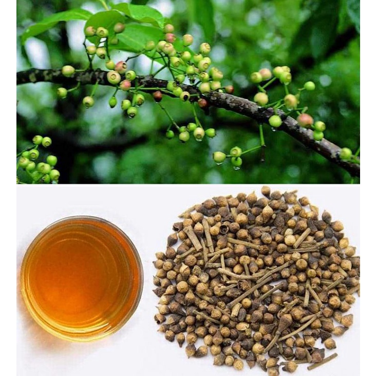 1kg Nụ Vối - Hàng loại 1 đã sao thơm, sạch, mới