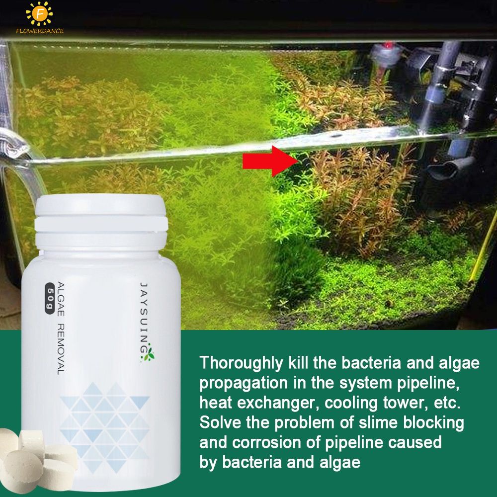 Bơi hồ bơi tảo loại bỏ Moss/Aquarium tảo loại bỏ rêu/đại lý bể cá loại bỏ Moss BỘT TẢO loại bỏ tấm chất tẩy rửa máy lọc nước với muỗng FLOWERDANCE