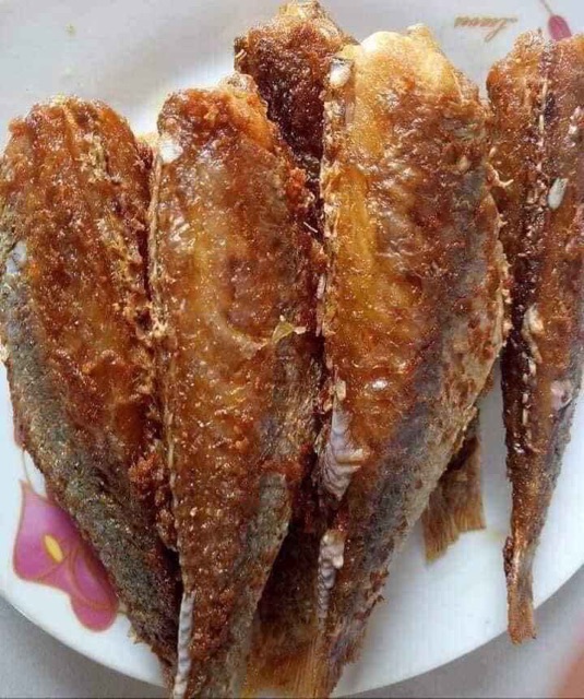 Cá hồng phèn 1 nắng