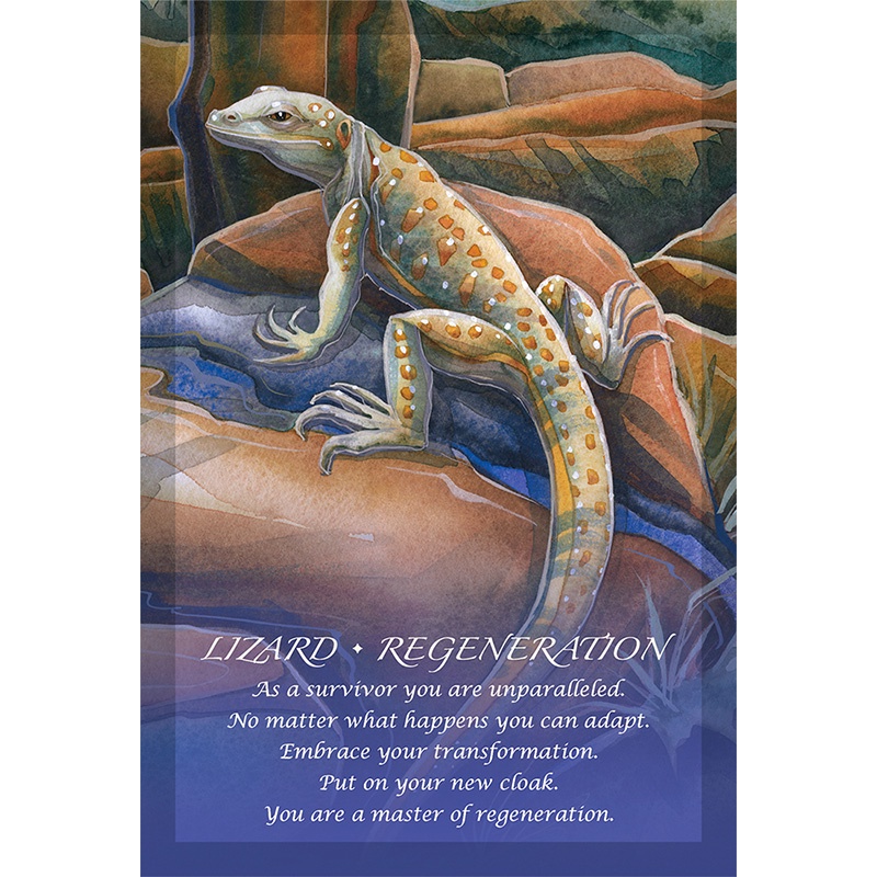 Bài Spirit of The Animals Oracle