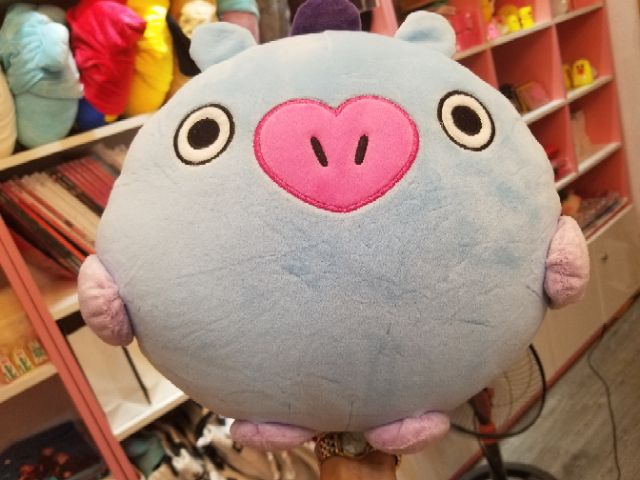 Gối ôm BT21 Pompong Plus Cushion Pillow