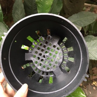 Chậu nhựa trồng lan đen  size F21