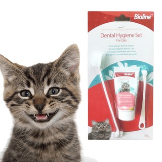 Bộ Kem Đánh Răng Bàn Chải Đánh Răng Mèo Dental Hygiene Set Bioline 50g