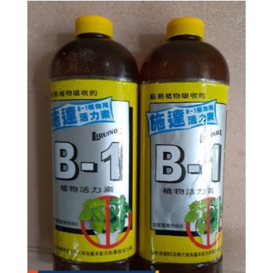 Vitamin B1 nhập khẩu Đài Loan chai 300cc