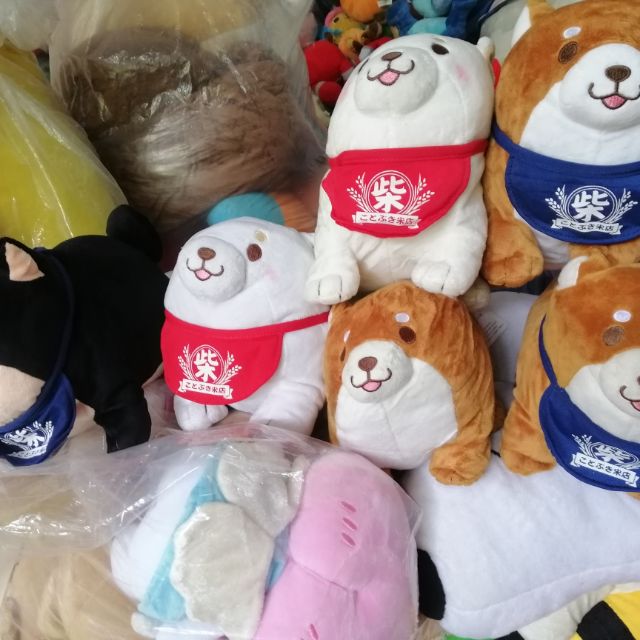 Gấu bông của khá Hân