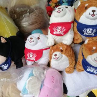 Gấu bông của khá Hân