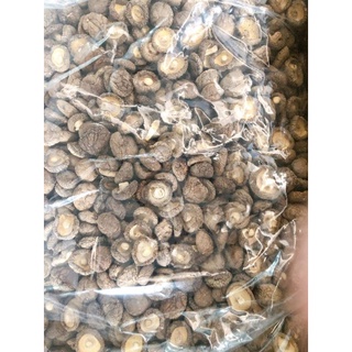SỈ NẤM ĐÔNG CÔ (TAI TO, TRÒN ĐỀU 3cm - 4cm)