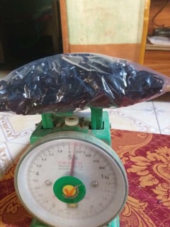 Chun cột tóc 100 gr