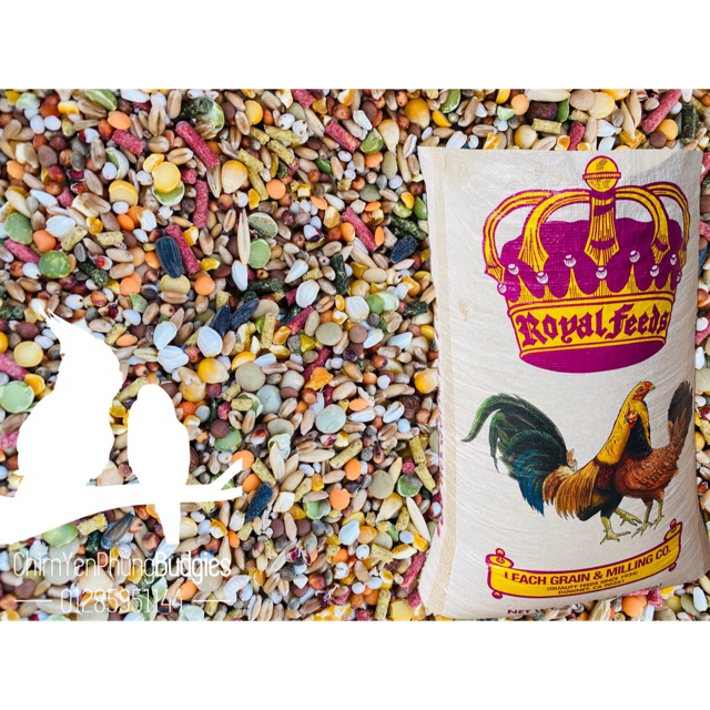 2kg ngũ cốc gà đá Royal Feeds cho gà đá  chiếc lẻ từ bao 22,8kg