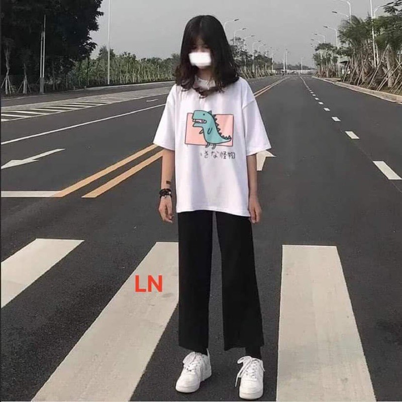 [FREESHIP ĐƠN TỪ 50K] Sét áo 3D khủng Long + quần suông HARI0321