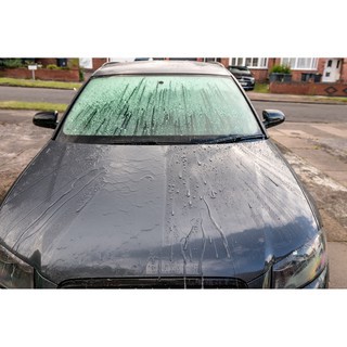 Đã gồm VAT (Tặng mút dưỡng cao cấp) Meguiar's Ceramic Wax G190526 768ml