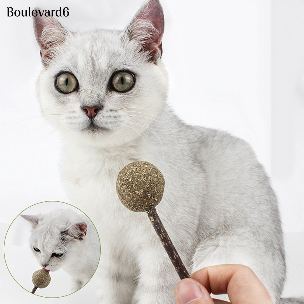 Đồ chơi cho mèo cưng