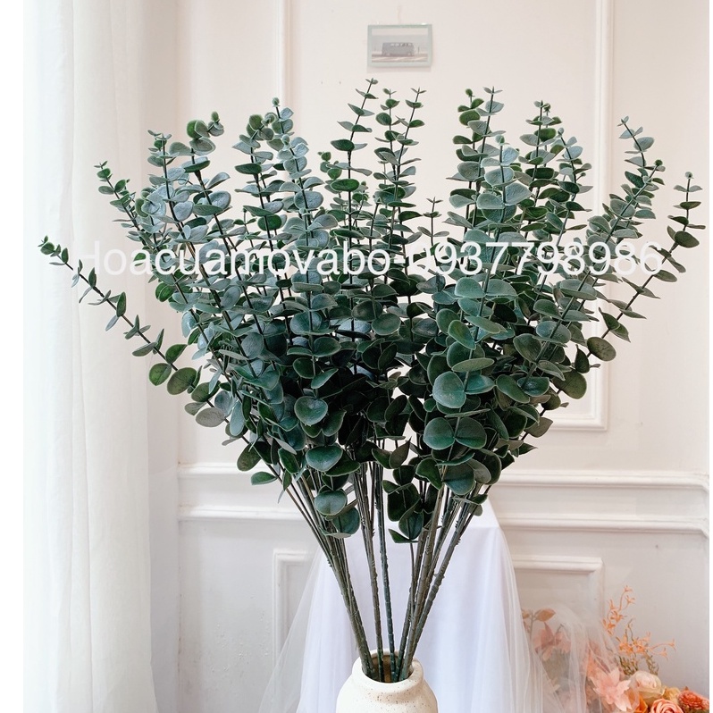 Cành Lá Tai Chuột, Lá Khuynh Diệp Merber Loại 80cm 8/5 Nhánh - Cành Lá Giả Cao Cấp, Trang Trí Nhà Cửa Decor Chụp Ảnh