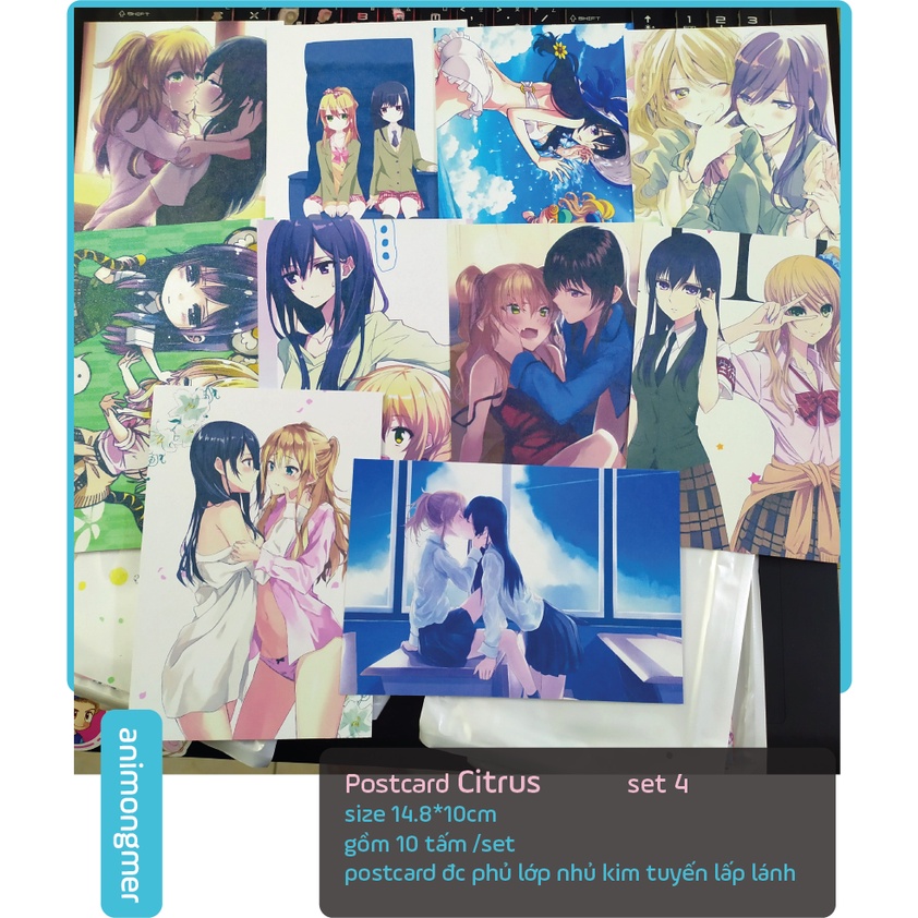 Postcard bưu thiếp Citrus