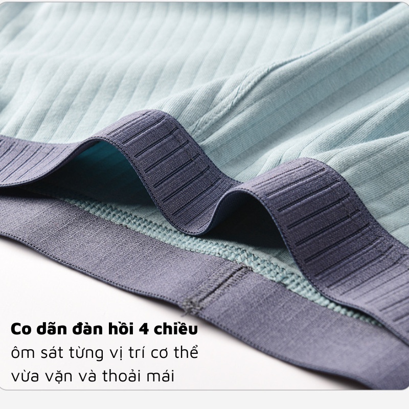 Quần lót nam, sịp đùi boxer vải Cotton mềm mại thoáng khí ACX06