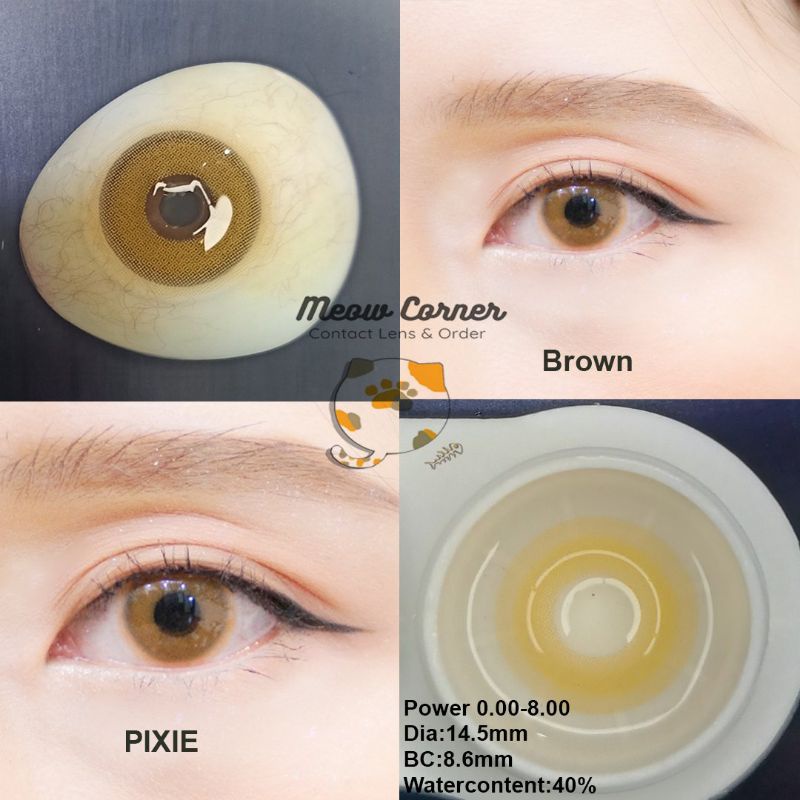 lens tây mẫu pixie có cận