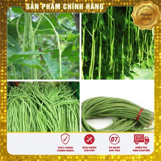 Hạt giống Đậu Đũa Xanh ngon dễ trồng và năng suất