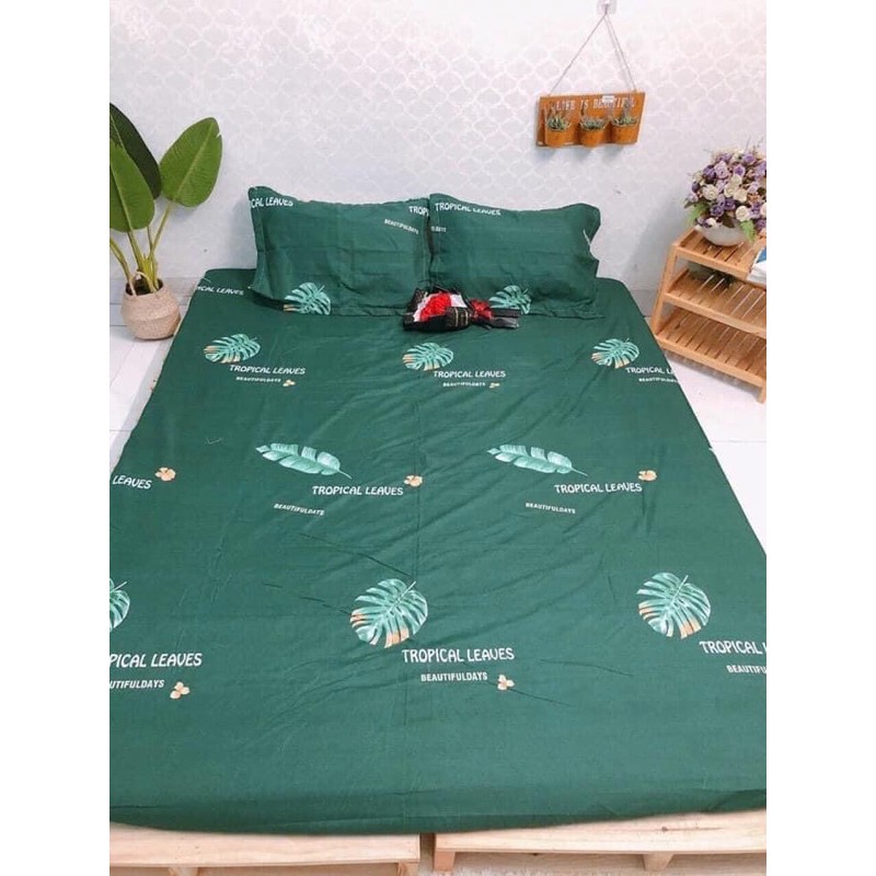 ( giá siêu rẻ) set ga gối Poly cotton 3 món 1 ga bọc nệm ,2 vỏ gối đầu hàng có sẵn