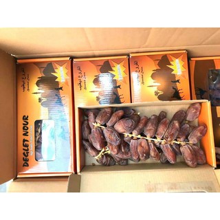 {HÀNG CHÍNH HÃNG CÔNG TY} Chà Là Nguyên Cành Deglet Nour Israel (Chuẩn 3 con lạc đà)