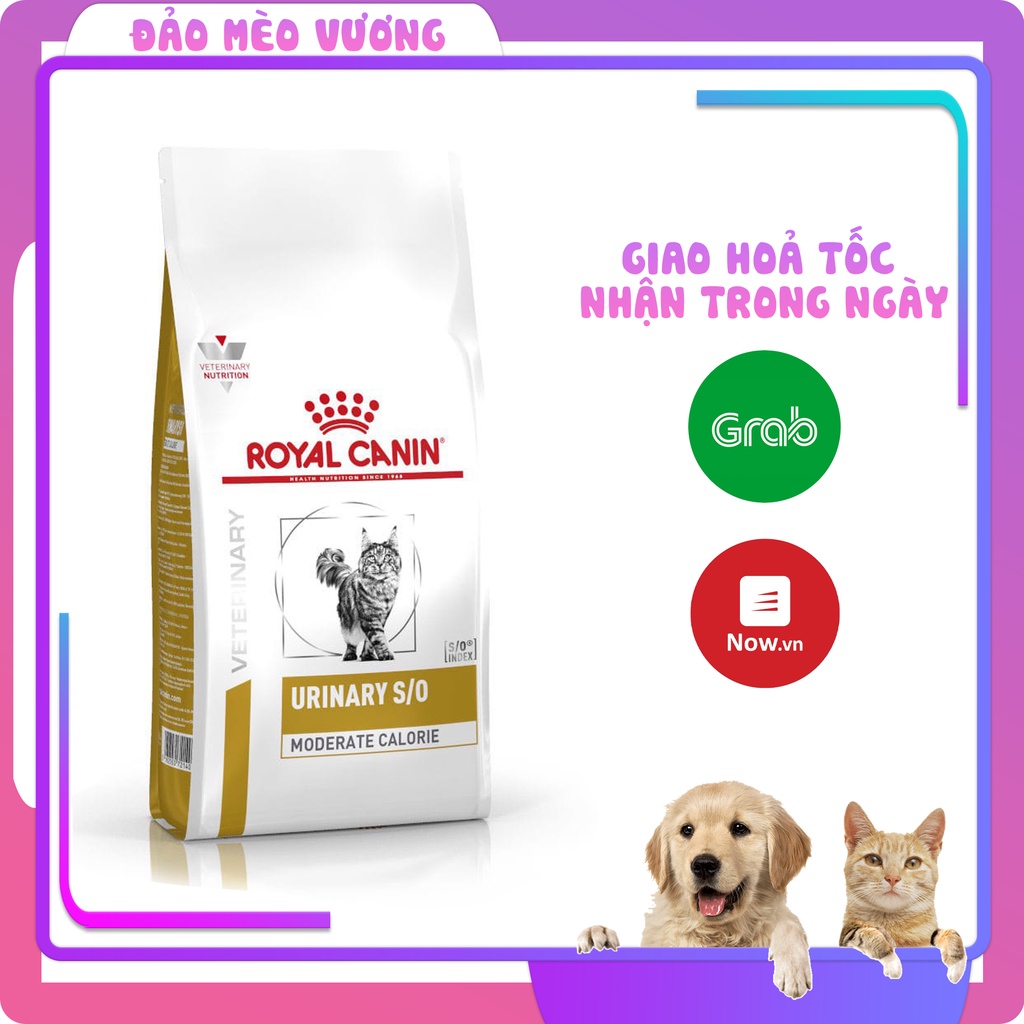 ROYAL CANIN URINARY S/O (400G/1.5KG) THỨC ĂN CHO MÈO BỊ SỎI THẬN