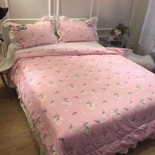 Bộ chăn ga gối cotton 40s chăn hè