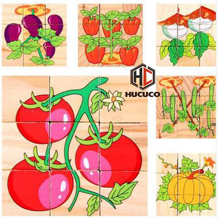 Đồ Chơi Ghép Hình 6 Mặt 9 Miếng Gỗ Cho Bé Lắp Ghép Được 6 Bức Hình Khác Nhau [XH-04]