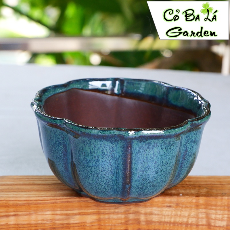Chậu sứ trồng cây-hình hoa sen 11x5 -men hỏa biến