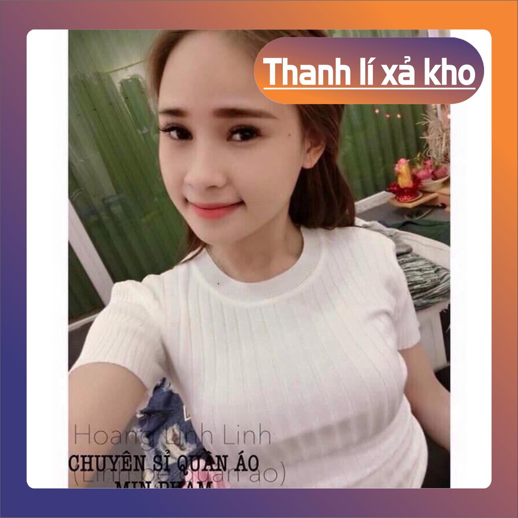 🦁 11431B1 Áo thun gân tay ngắn cổ tròn, freesize dưới 53kg tùy chiều cao, kiểu croptop 🦁