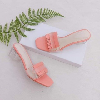 Com bo giày tt+guốc
