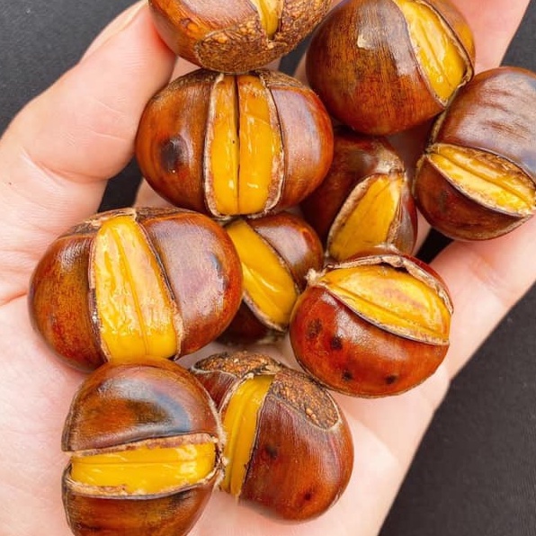 HẠT DẺ CHÍN CAO BẰNG 1KG LOAI TO NGON NÓNG HỔI