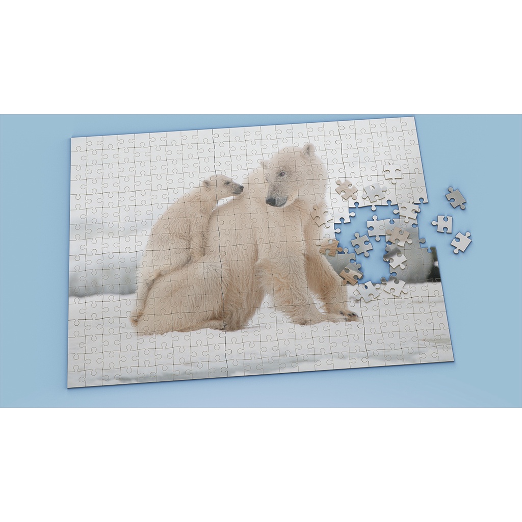 Tranh ghép hình Animal - Tranh ghép hình POLAR BEAR - Mẫu 15 - Nhận in hình tranh ghép theo yêu cầu