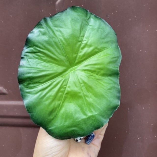Lá sen giả, ống nhựa làm thân hoa sen trang trí, DIY Handmade trang trí nhà cửa
