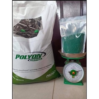 1KG Phân Xanh POLYON Mỹ