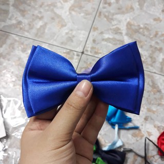 Nơ Mèo cho chú rể