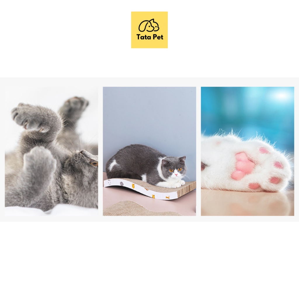 Bàn cào móng cho mèo kèm 1 túi cat nip - trụ cào mài móng cho mèo HÌNH CHỮ NHẬT (CM19.1) TATA PET