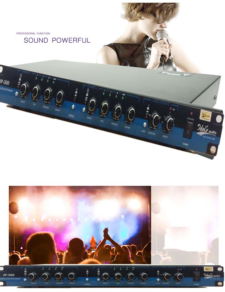 Máy Nâng Tiếng Thiết Bị Nâng Tiếng Hổ Trợ Karaoke Idol Ip-300,Idol Audio Vang Cơ-Vang Số