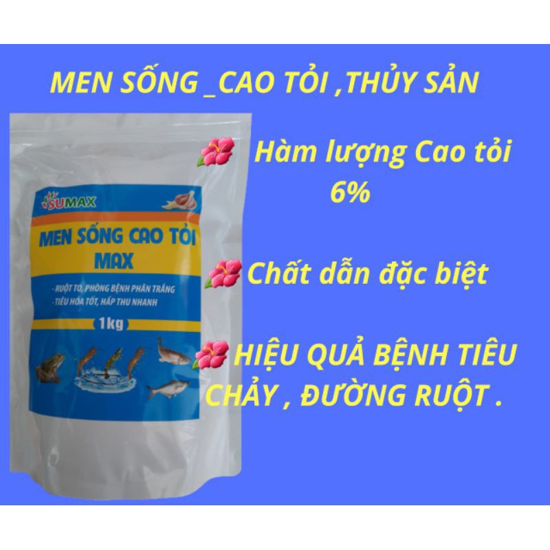 MEN SỐNG CAO TỎI THỦY SẢN