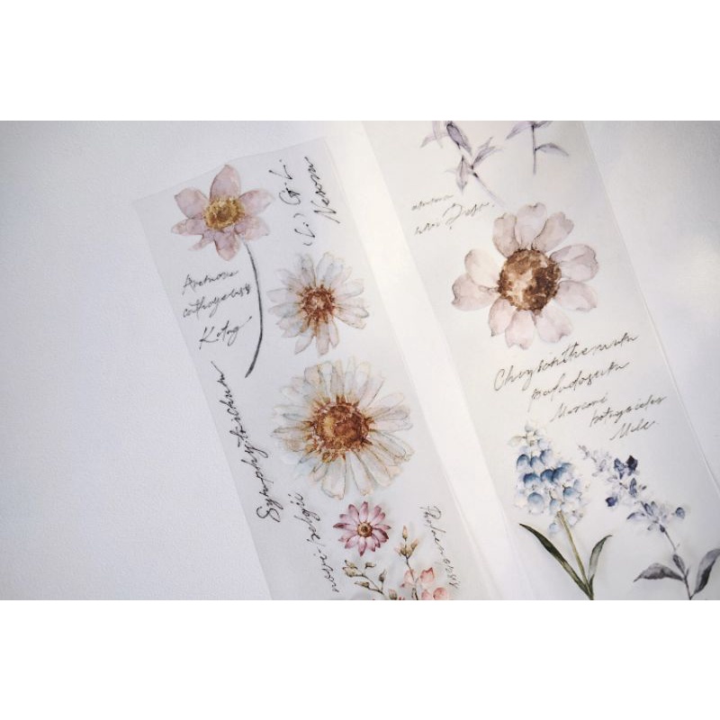 Krisna.room ♡ Freckles Tea vol.1- 1 chu kì 300cm cuộn băng dán Hoa xinh xắn