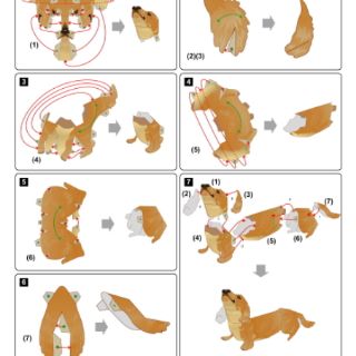 Mô hình giấy Động Vật chó dachshund